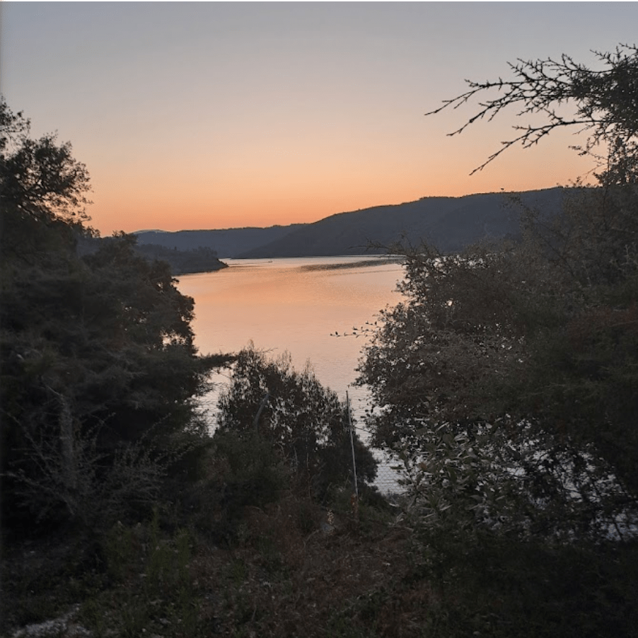 Living by the Lake – Traumgrundstücke am See in Zentralportugal