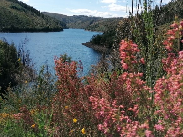 Living by the Lake – Traumgrundstücke am See in Zentralportugal