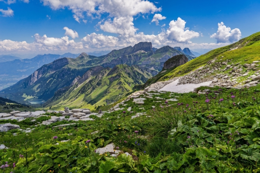 Berglandschaft um Sankt Gallen