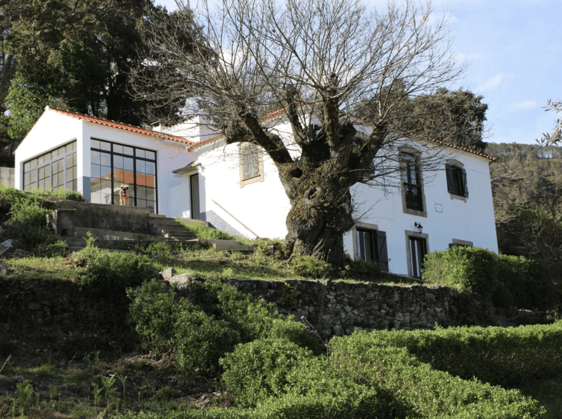 Herrliches Landhaus in absoluter Natur –  Retreat in Portugal