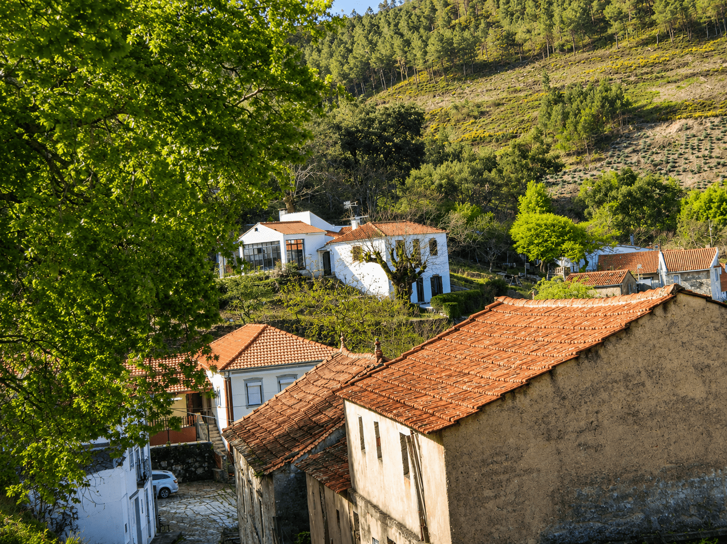 Herrliches Landhaus in absoluter Natur –  Retreat in Portugal